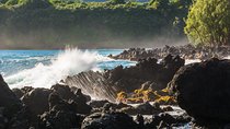 Hana Tour Private