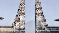Bali Instagram Tour: The Most Popular Spots ( Private All-Inclusive )