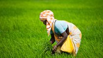 Village Tour around Mahabalipuram