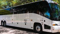 Safari (Groups) All inclusive