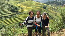 Sapa 2 Days Trek from Hanoi by Shared Bus & Private Tour in Sapa