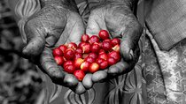 Rwandan Coffee Experience