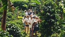 Coffee Tour in Medellin