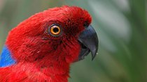 Kula Eco Park Admission