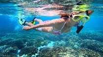 Abrolhos Islands Scenic Flight & Snorkel Adventure from Perth