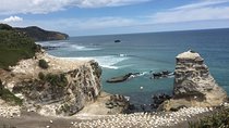 Beautiful Nature Tours Auckland - Private Tour