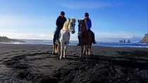 Horse Riding At Black Sand Beach and Ubud Palace & Ubud Market 