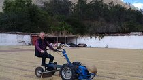 Villages And Plantations Around Antigua Guatemala