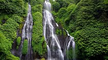 Bali Best Waterfalls Tour : Sekumpul and Banyumala