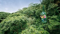 6 in 1 RainForest Adventure From San Jose