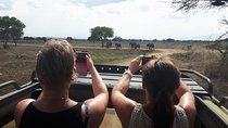 Day trip to Mikumi National Park from Dar es salaam 