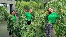 All Inclusive Wolong or Dujiangyan Panda Base Volunteering