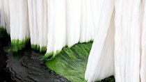 Learn The Art Of Textile Dyeing In Sanganer, Near Jaipur