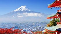 Tokyo to Hakone | Private and Personalized Day Trip with a Local