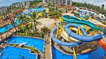Splash Jungle Water Park Entry – Fun for All Ages