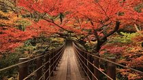 Waterfalls & Autumn Leaves in Ibaraki Prefecture