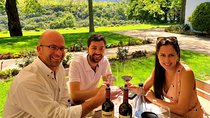 Daily Different small group WINE tour - CAPE TOWN PICKUP