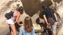 Sightseeing Walking Tour of Rome By Night: Trevi Fountain & Other Highlights
