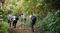 Blue Mountains, Port Royal and Kingston 2-Day Tour from Ocho Rios