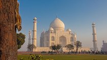 Private Day Tour to Taj Mahal and Agra Fort from Delhi by Car