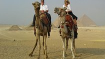 Full Day Tour To Giza pyramids,Sakkara pyramids&Memphis,Include Camel ride&Lunch