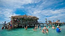 YS Falls, Pelican Bar, Horseback Ride/Swim Combo Tour with Lunch