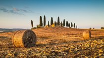 Private Chianti Tuscany Wine Tasting Tour from Florence