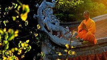 Private Day Trip to see Shaolin Temple and Longmen Grottoes from Beijing