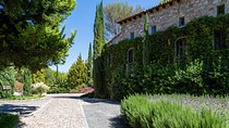 Vineyards, Wine Tasting and Pairing in San Miguel