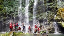 Swimming Under Victoria Falls: Half-Day Tour