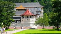 Private Kandy Day Tour from Colombo