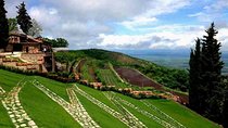 Private Full-Day Guided Kakheti Region Tour with Transport