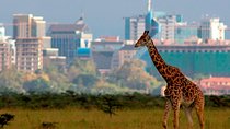 Afternoon half day mini safari to Nairobi National Park 