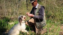 Private Truffle Hunting in Chianti from Florence