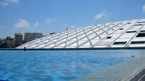 Private Alexandria City tour from Alexandria 