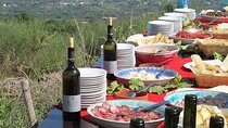 Private 8-Hour Tour of Four Etna Wineries with Tasting
