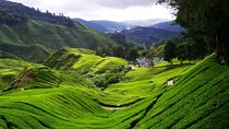 Private Cameron Highlands with Batu Caves from Kuala Lumpur