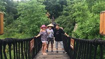 Qingcheng Mountain and Dujiangyan Irrigation Private Day Tour