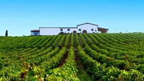 Cagliari: Full Day Wine Private Experience with Lunch