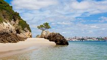 Arrabida Private Full-Day Wine Excursion