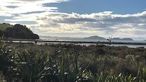 Beautiful Pohutukawa Coast - Half Day Private Tour