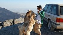 Jebel Shams Day trip (Muscat tours) :Oman Shore excursions