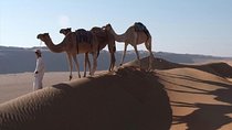5 Days Package TOUR DINA