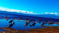 Memorable Day Trip - Lake Manyara National Park