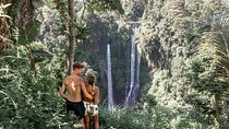 Premium Sunrises, Rice Fields, and Waterfalls Tour 