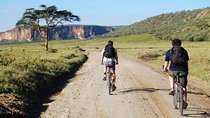 Guided Day Tour Safari of Parks Lake Naivasha and Hells Gate