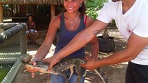 Half-Day Aruba Animal Sanctuary Guided Tour 