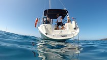 South Coast Tenerife Cruise