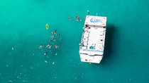 Cabo Escape Breakfast Snorkel Cruise