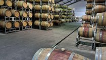 Private Stellenbosch, Franschhoek Paarl Wine Tour from Cape Town